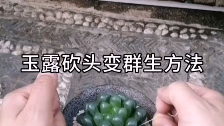 建议改成:插花
